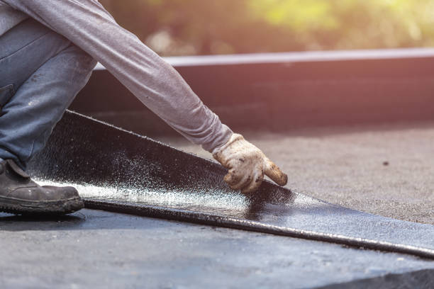 Professional Interior Drainage System technician working in Montpelier Station, VA